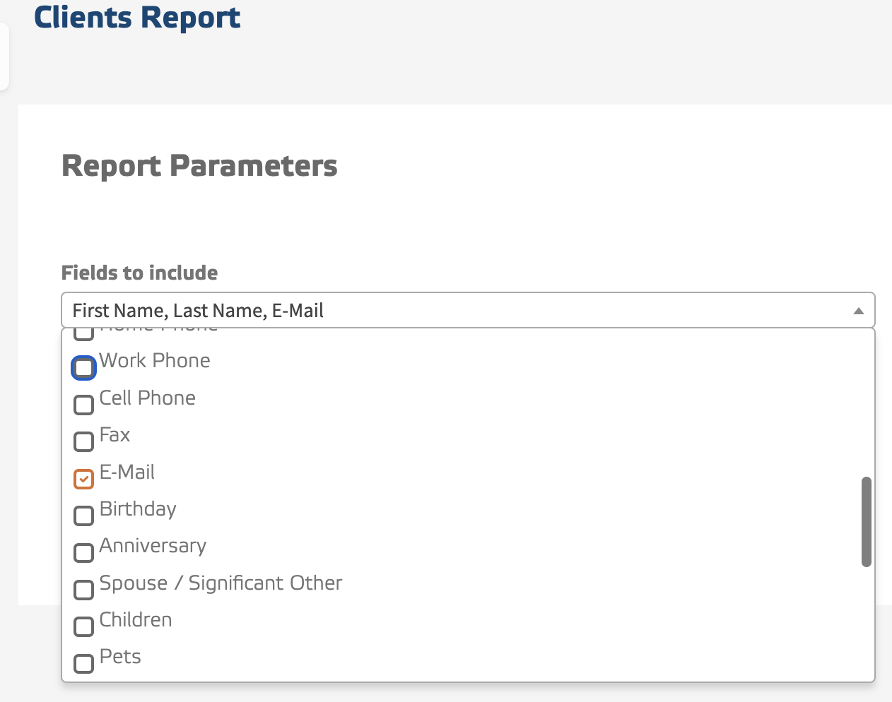 clients-report-parameters.png